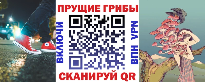 купить наркотик  Красноуфимск  Псилоцибиновые грибы GOLDEN TEACHER 