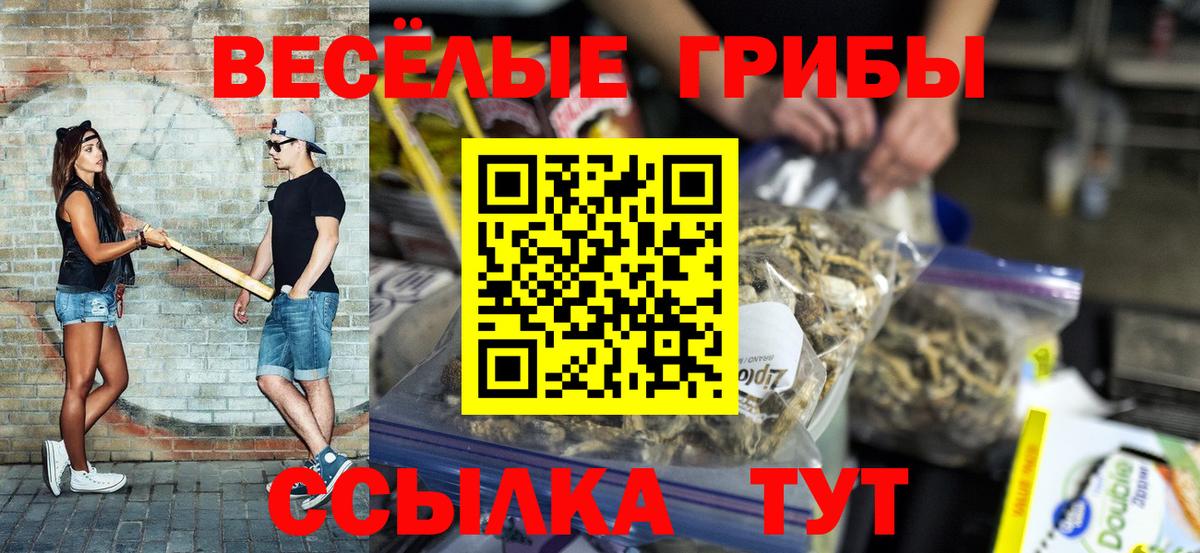 Псилоцибиновые грибы прущие грибы  Красноуфимск  Галлюциногенные грибы мицелий 