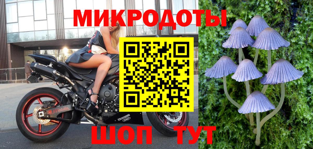 Псилоцибиновые грибы Красноуфимск