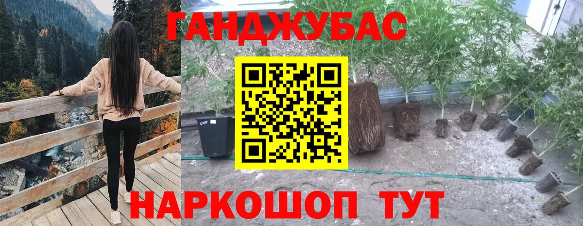 МАРИХУАНА планчик  Марихуана план  Красноуфимск 